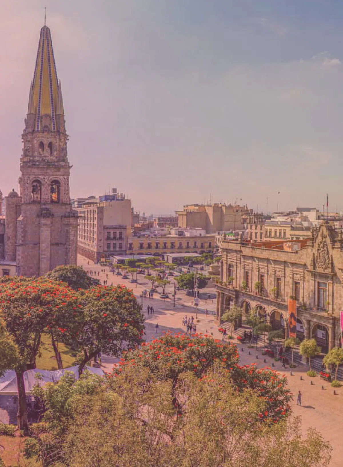 envios-locales-guadalajara